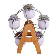 Ferris Wheel Small Pot Planter