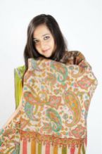 Pashmina Shawls