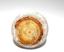 Wood AND Resin Door Knobs