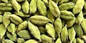 Cardamom