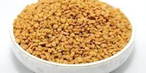 Fenugreek Seeds