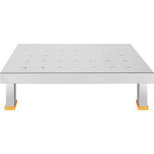 Stainless Steel Kitchen Stool Patla