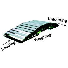 Electronic Roller Platform Scale