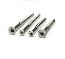 Stainless Steel Screws