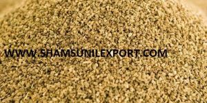 Celery Seed