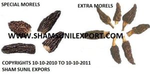 Dried Morel Mushroom