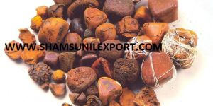 Ox Gallstone