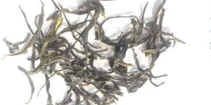 Hyson Supreme Green Tea