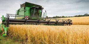 Agricultural Third Party Business Consultant