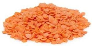 Red Lentils