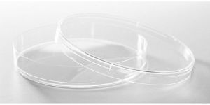 Petri Dish