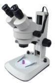 Stereo Microscope
