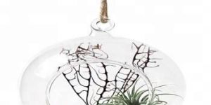 Hanging Glass Candle Holder