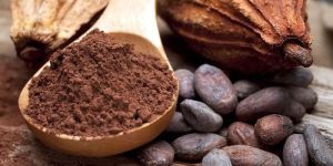 Cocoa Powder