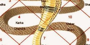 Kaal Sarp Dosh Nivaran Pooja Services