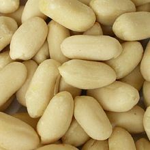 Raw Bold Blanched Peanut Kernel
