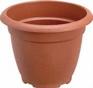 Plastic Flower Pot
