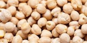Indian Kabuli Chick Peas