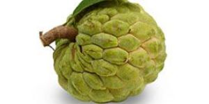 Custard Apple