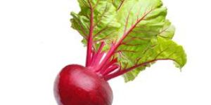 Fresh Beetroot