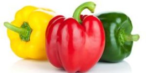 Fresh Capsicum