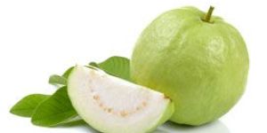 Fresh Guava