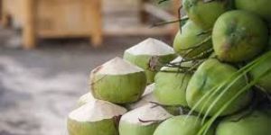 Tender Coconut