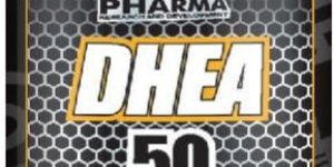 Dhea 50 100 Capsules