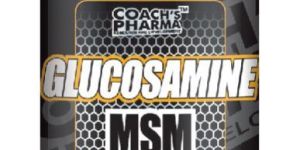 Glucosamine MSM 120 Capsules
