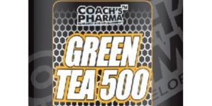 Green Tea 500 120 Capsules