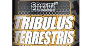 Tribulus Terrestris 100 Capsules