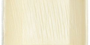 Areca Palm Leaf Square Plate 10 with Rib