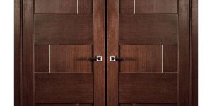 Main Entry Flush Door