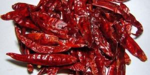 Dry Red Chilli