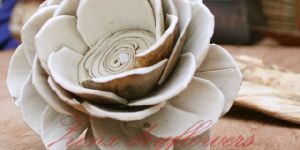 Handmade Skin Sola Flower
