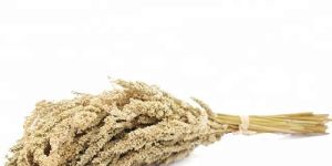 Long Grass Beads Dried Flowers