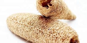 Long Raw Loofah