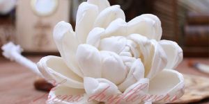 Mokka Sola Wood Flower
