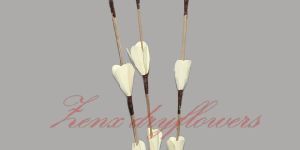 Palm Coco Flowers