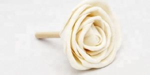 Sola Peony Rose with Rattan Stick