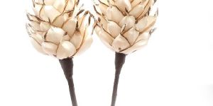 Sola Pine Shape Wood Flower
