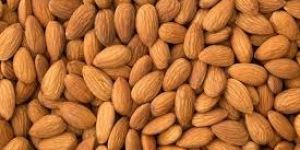 Almond Nuts-I Am The King Of Nuts