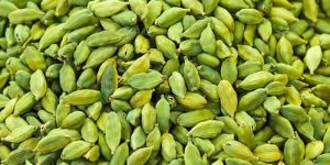 Green Cardamom-Queen Of Spices