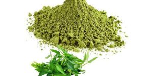 Curry Leaves Powder