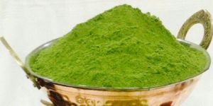 Moringa Powder