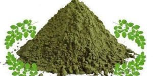 DRUMSTICK LEAVES POWDER