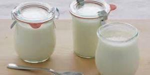 Goat Milk Yogurt
