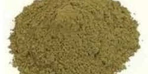 Tulsi Powder