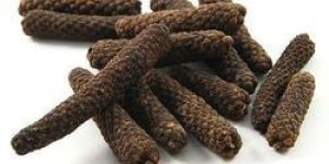 Long Pepper