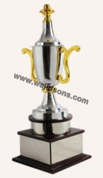 Cricket Trophy